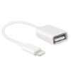 ADAPTADOR APPLE OTG LIGHTNING A USB